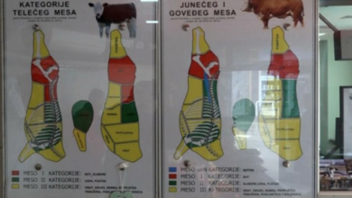 Photo of Zvanični podaci iz klaonica: U jednom kantonu u BiH žive vegetarijanci, ‘telad nestaju kao u bermudskom trokutu’