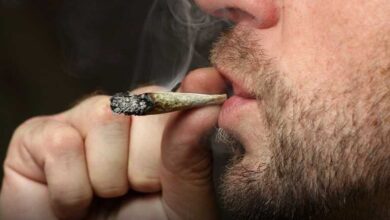 Photo of Mladi u BiH sve više puše marihuanu