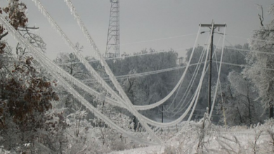 Photo of Brojni kvarovi na elektro-mreži zbog snijega u BiH