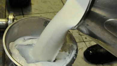 Photo of Doveden u pitanje opstanak mljekarske proizvodnje u Bosnu i Hercegovinu…