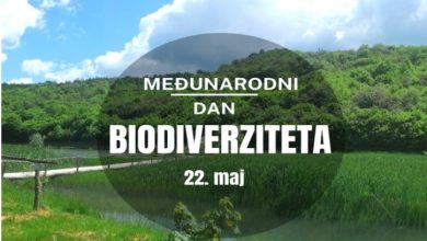 Photo of 22. maj – Međunarodni dan biodiverziteta