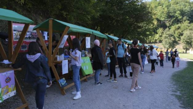 Photo of Poziv izlagačima za učešće na Festivalu i sajmu povodom ljetnog Solsticija