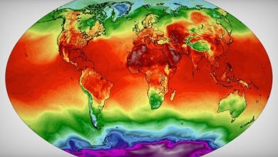 Photo of Rekordne vrućine širom svijeta, puno toga se poklopilo. Ovo je “savršena oluja”