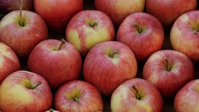 Photo of Jedna jabuka na dan tjera doktora van – naučnik otkrio još jednu korist ovog voća