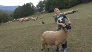 Photo of Ahmed iz Viteza: Više volim pogledati dobru ovcu nego da mi daju 100 KM