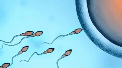 Photo of Znanstvenici uhvatili spermije kako krše jedan od glavnih zakona fizike?
