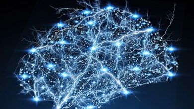 Photo of Veliki obrat: AI razvio ključnu sposobnost ljudskog mozga, a mislilo se da ne može