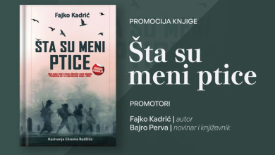 Photo of Sutra u KC Altindag promocija knjige ” Šta su meni ptice”, autora Fajke Kadrića