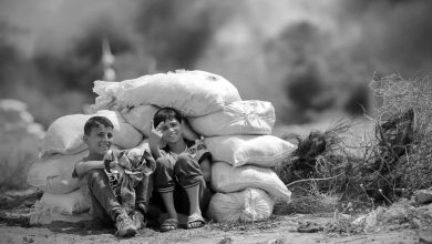 Photo of Zabranjeno je uznemiriti se zbog ubijanja u Gazi