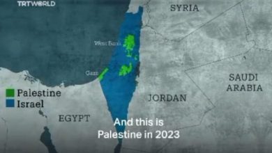 Photo of ‘Laž je da Palestina nije nikada postojala, čak je i Golda Meir sebe nazivala Palestinkom sve do 1970.’