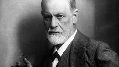 Photo of Sigmund Freud: “Prvi znak ljudske gluposti je potpuno odsustvo stida.”