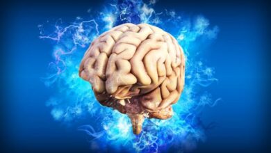 Photo of Pet znakova da mozak ubrzano stari
