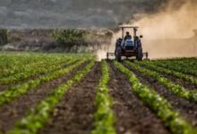 Photo of Revizori otkrili: Milioni KM izdvojeni za poljoprivredu u FBiH, a stanje sve gore