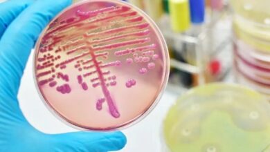 Photo of Razvijen novi način uništavanja bakterija otpornih na antibiotike: Potrebna samo jedna doza