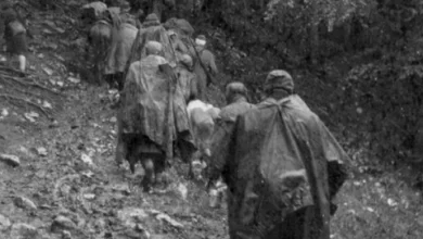 Photo of Bitka na Sutjesci: Bio je to pokolj Dalmatinaca