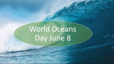 Photo of Svjetski dan okeana